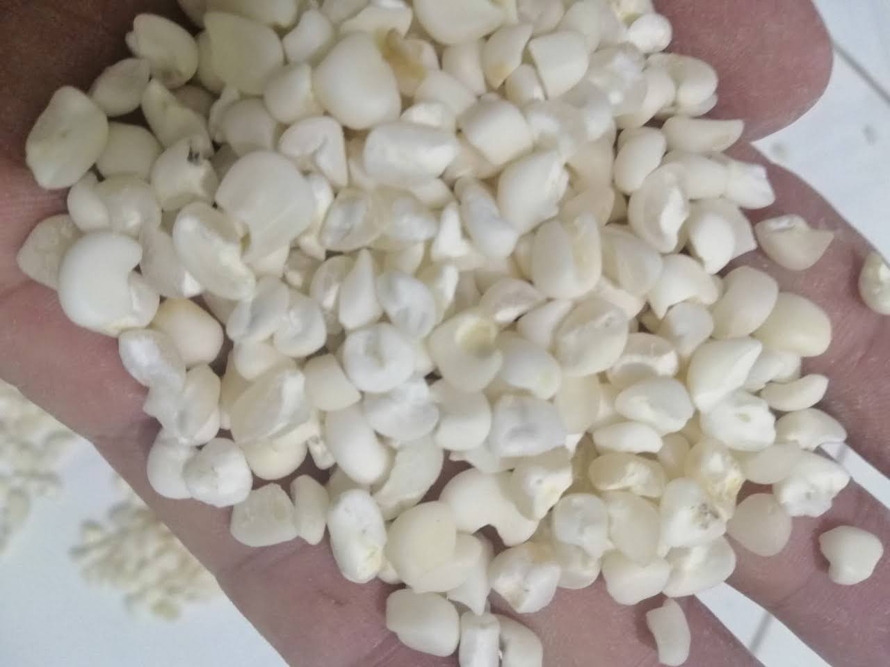 BẮP NẾP XAY TO