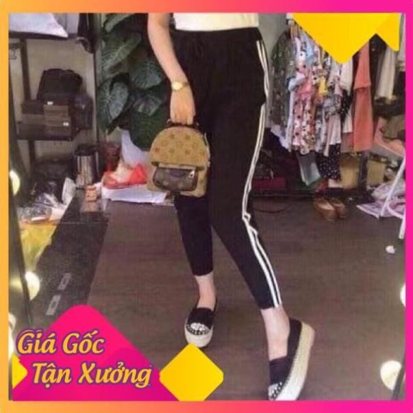 Quần baggy 2 sọc siu đẹp chất cotton dày mịn cạp chun thời trang Banamo Fashhion quần baggy 2 sọc 813