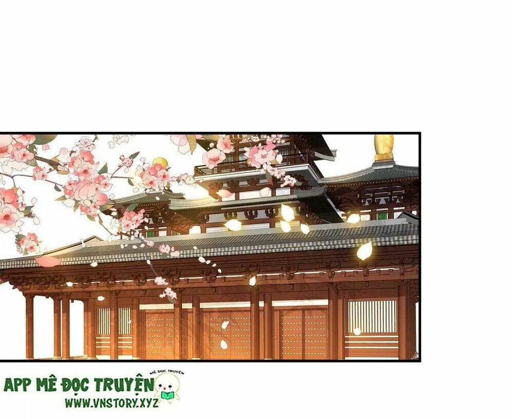 phượng hoàng vu phi chapter 103 26