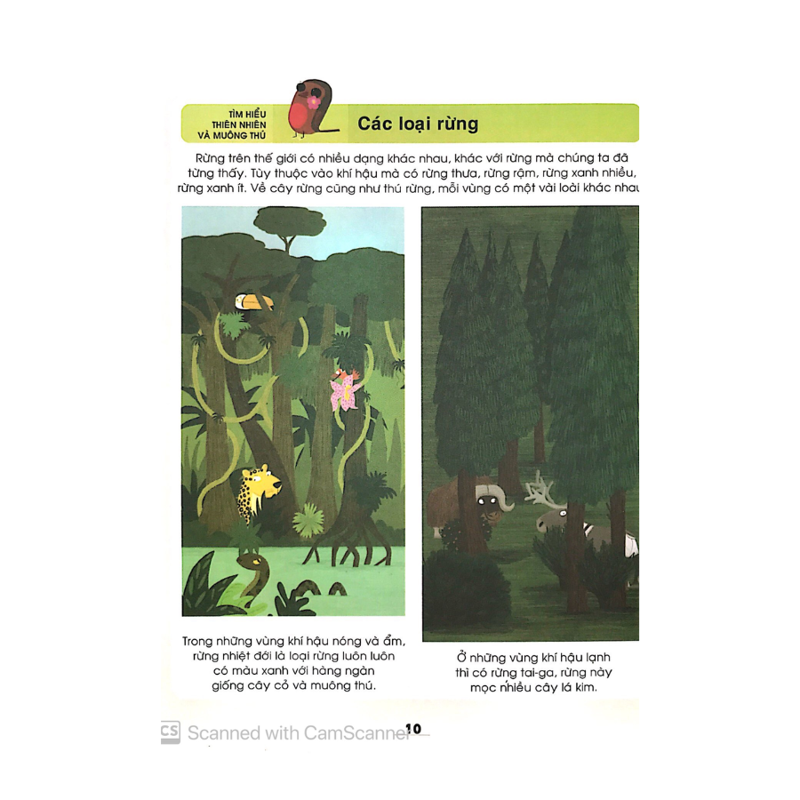 Sách Từ Điển Khoa Học Của Bé - Bé Tập Khám Phá