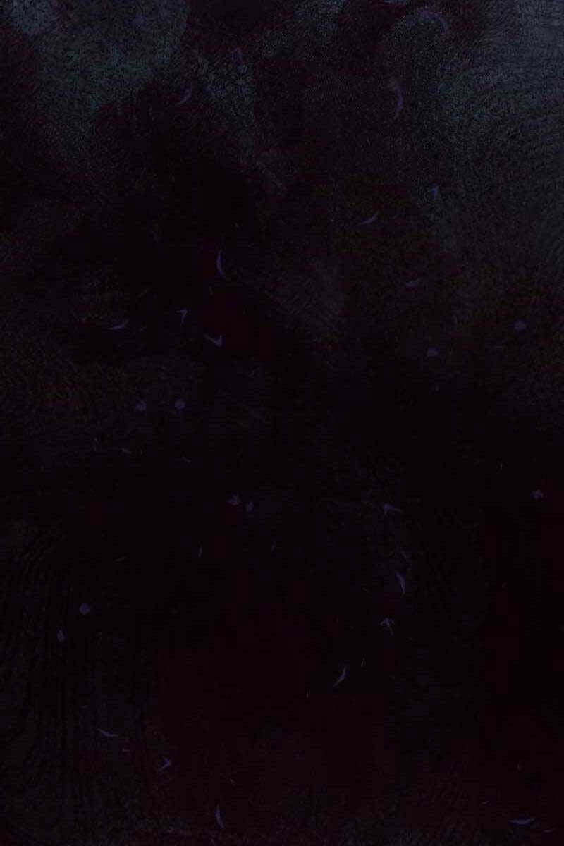 Ta Nhận Được Vật Phẩm Thần Thoại chapter 44.2 29