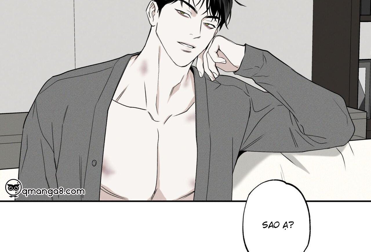 chàng giao pizza và gold palace chapter 48 155