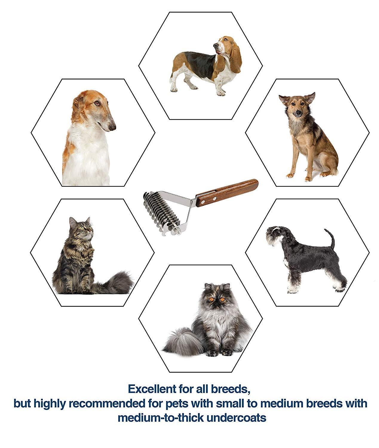 Lược chải lông và chải lông cho chó và mèo Cào lông