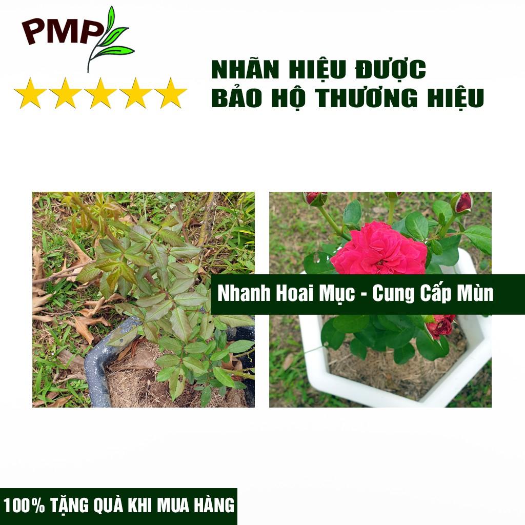 Giá Thể Trồng Cây PMP Siêu Giá Thể Bã Mía SUMI, Chuyên Dụng Cho Trồng Hoa Hồng, Hoa Lan, Rau Sạch (500g - 4dm3)