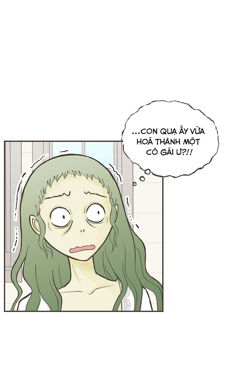 những nàng công chúa bị nguyền rủa chapter 12 32