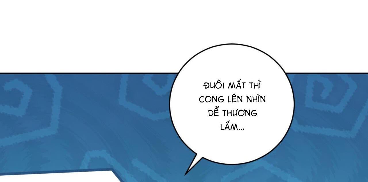 khu rừng tĩnh lặng chapter 8 23