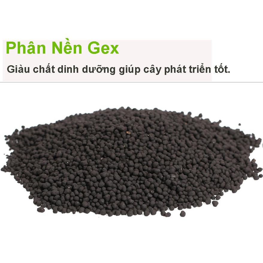 Combo Đá Nham Thạch (1kg) + Phân nền GEX 2kg (Xanh) hồ thủy sinh