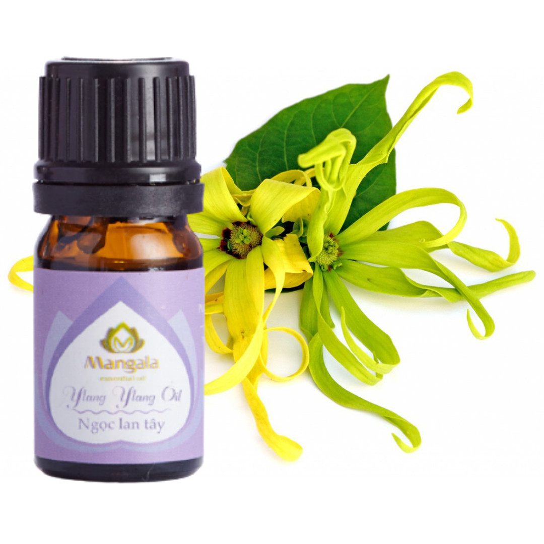 Tinh Dầu Nguyên Chất Ngọc Lan Tây Ylang - 5ml - Tinh Dầu Thiên Nhiên Cao Cấp Mangala