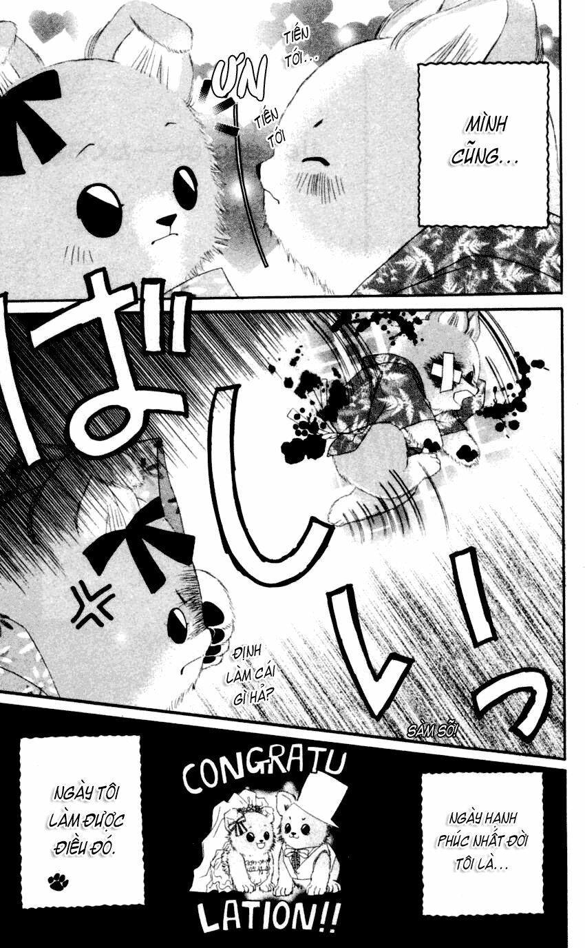 i love my little sister chapter 40 33