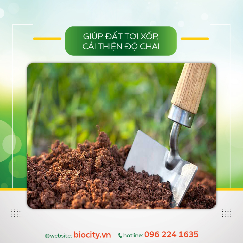 Chế phẩm sinh học giúp phục hồi đất nhiễm mặn, nâng pH đất - Fresh Soil 500ml