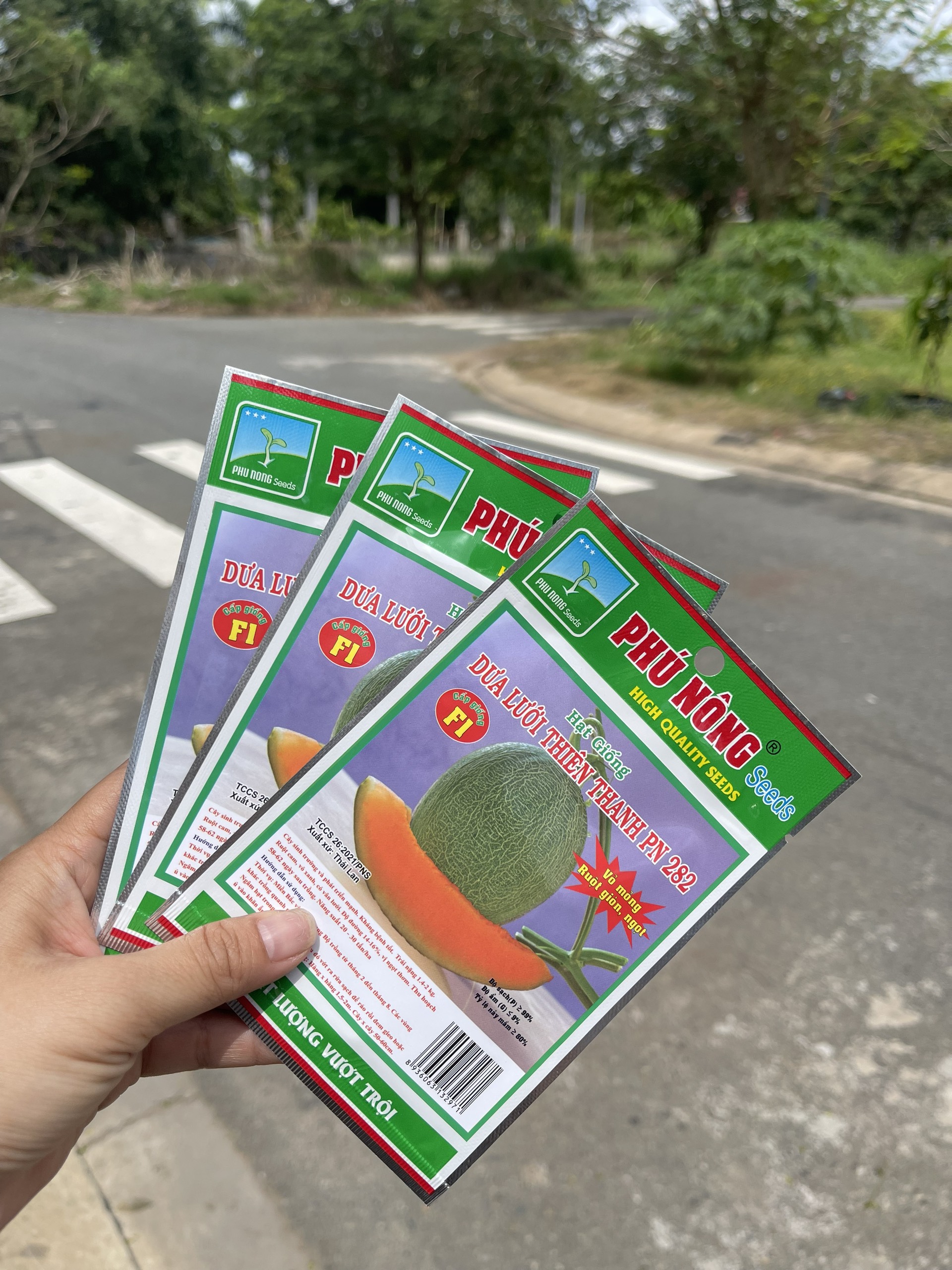 Hạt giống Dưa Lưới Thiên Thanh PN-282