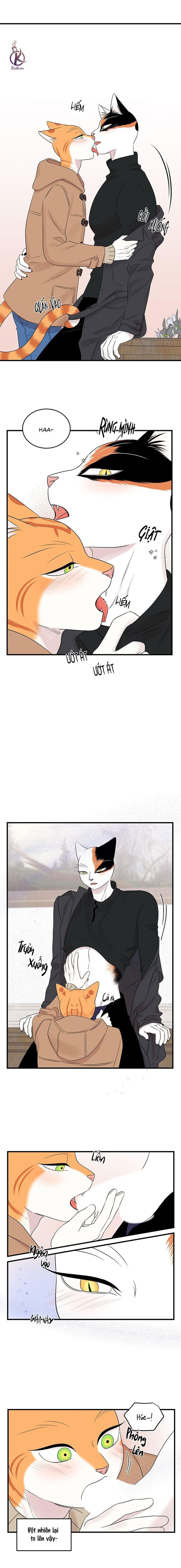 dự án xanh chapter 55 4