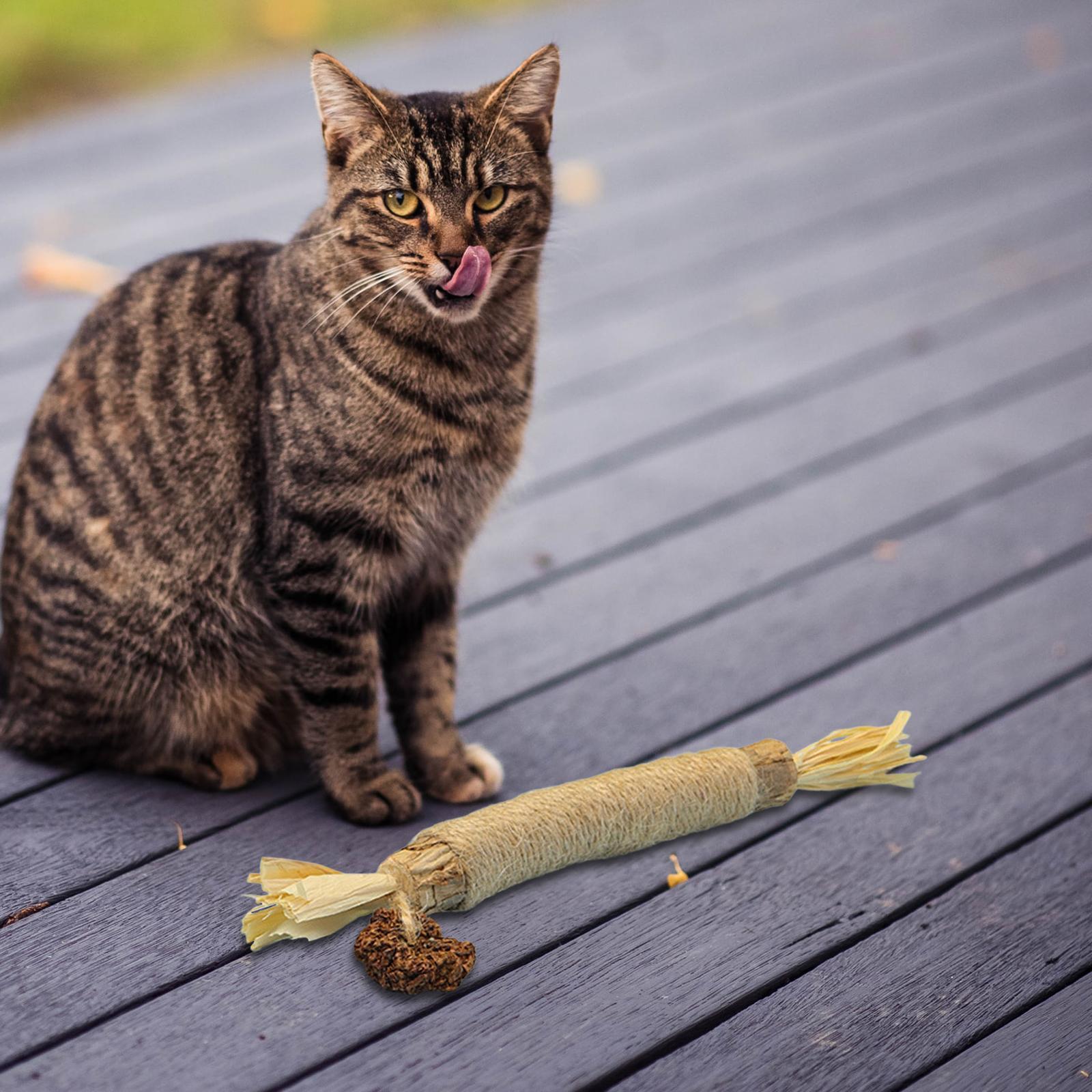 Cats Chew Toys Kitty Kitten Holding Cleaning Licking Snacks Pet Supplies Care