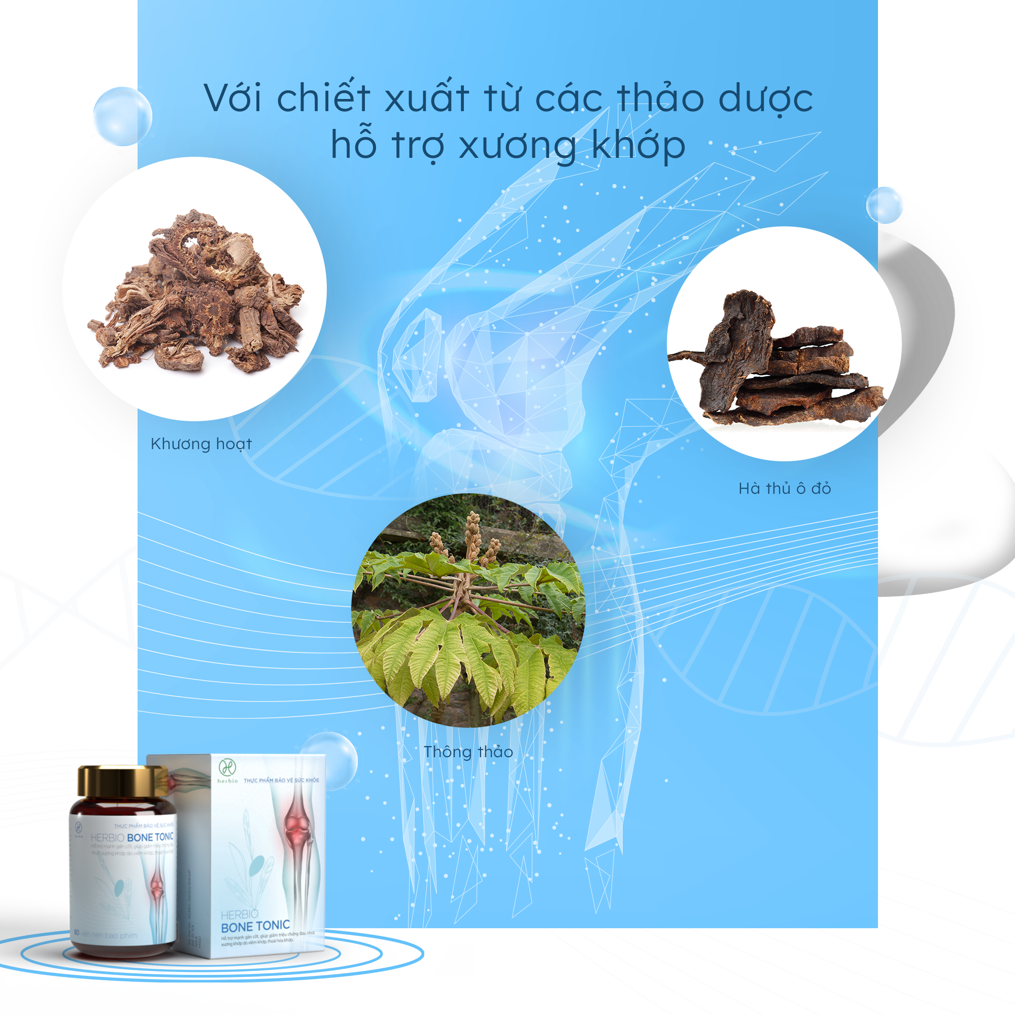 Viên Uống Bổ Xương Khớp Herbio Bone Tonic - 100% thảo dược tự nhiên theo công thức y học cổ truyền, hỗ trợ mạnh gân cốt, giảm các triệu chứng đau khớp, tăng cường sự dẻo dai, linh hoạt (Hộp 1 chai x 60 viên)