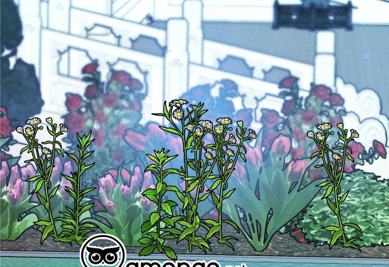 vô liêm sỉ chapter 11 118