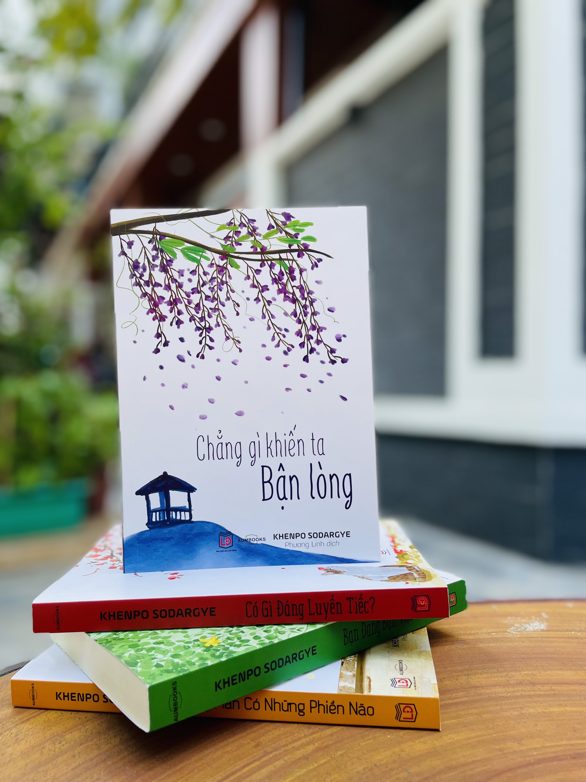 BỘ SÁCH "BẬN" ( Bạn Đang Bận Việc Gì Và Chẳng Gì Khiến Ta Bận Lòng ) - Sách Tôn Giáo, Nghệ Thuật Và Văn Hóa, Tác Giả KHENPO SODARGYE - Á Châu Books, bìa mềm, in màu