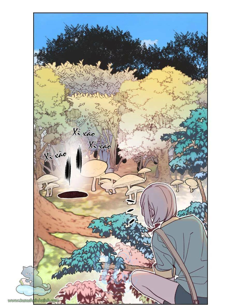 nhật ký nấm ma cô chapter 13 13