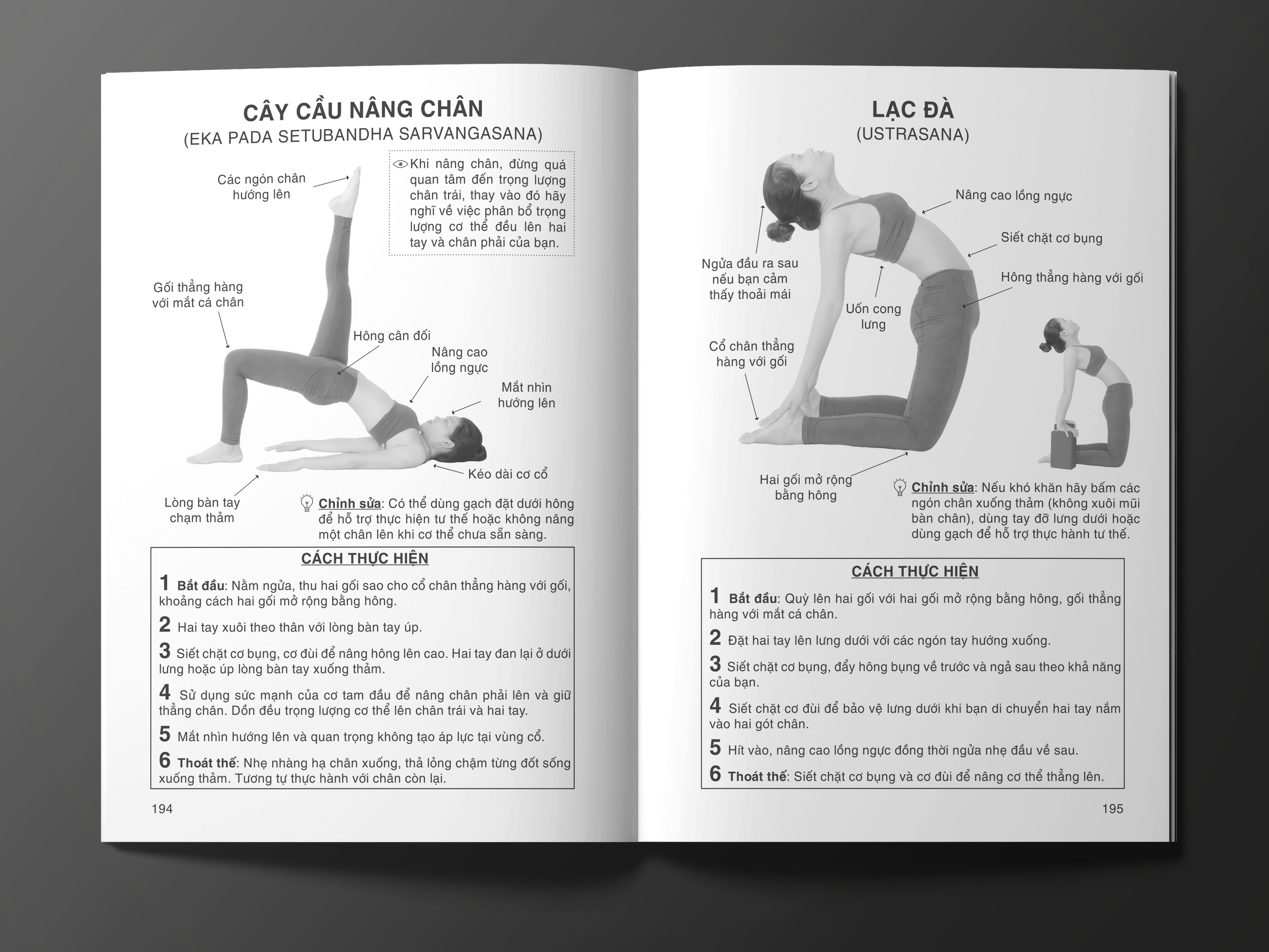 Combo sách cho người mới bắt đầu - Hiểu về định tuyến: Hướng dẫn khởi động và 200 tư thế Yoga; Yoga cho người mới bắt đầu