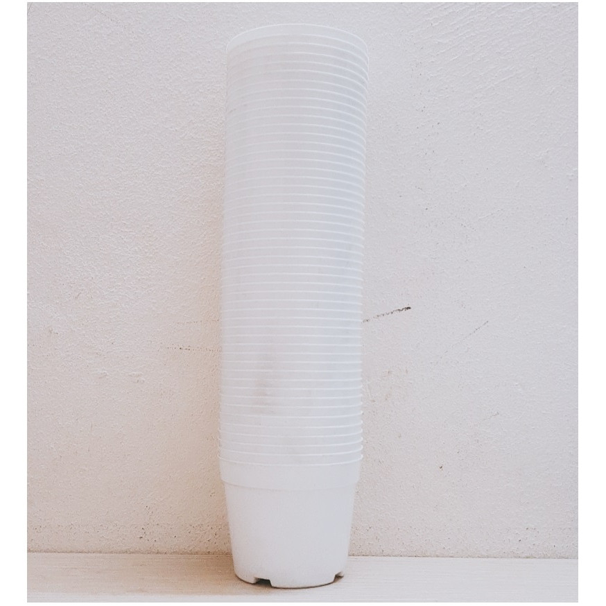 50 Chậu Nhựa Trồng Lan, Cây Cảnh Mini Fi 10cm - Màu Trắng - Cốc ươm fi 10 màu Trắng