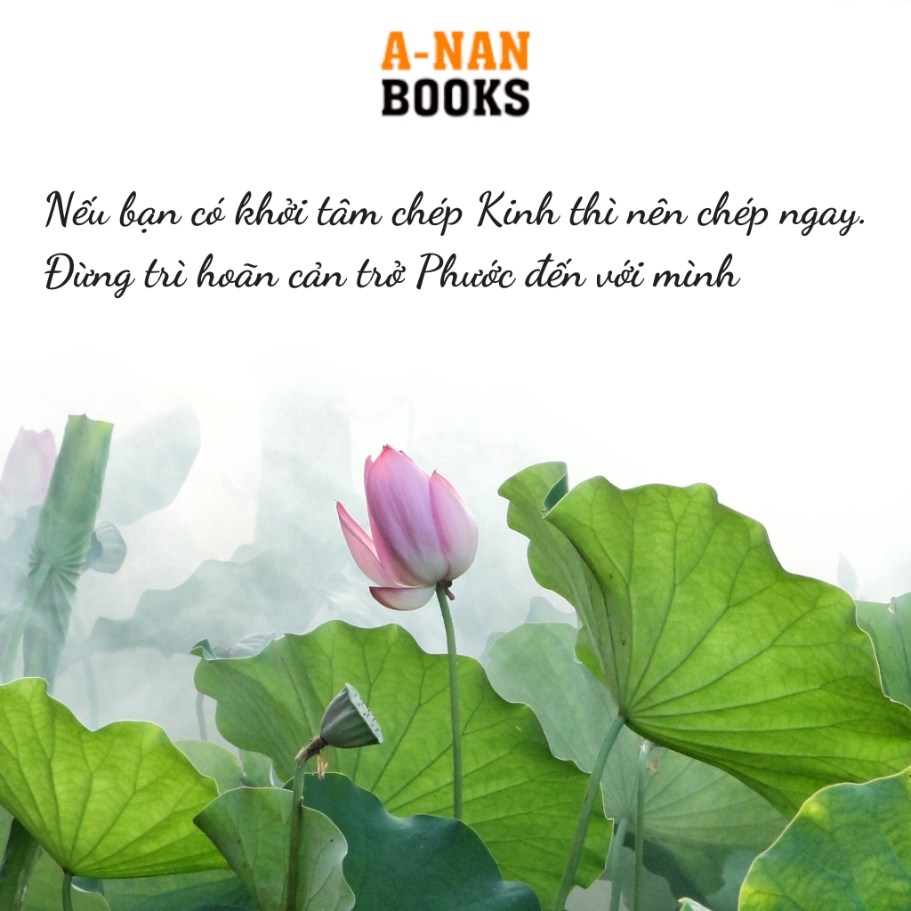Sách - Kinh Địa Tạng Bồ Tát Bổn Nguyện trọn bộ