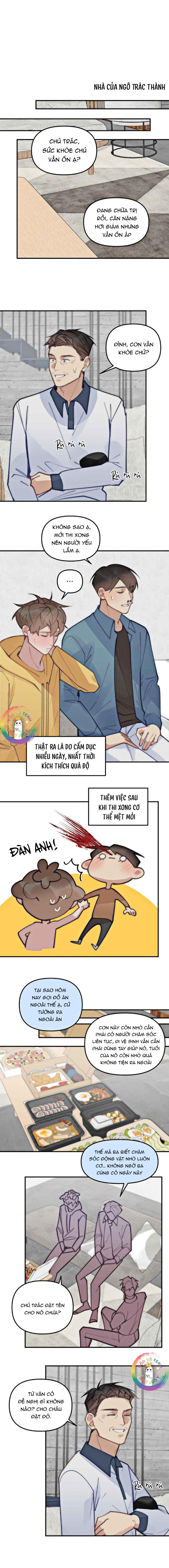 đàn anh “sói ca” cùng phòng của tôi chapter 75 15