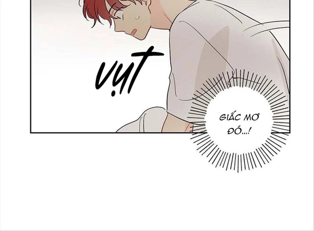 chuyện quái gì với giấc mơ đó vậy chapter 32 51