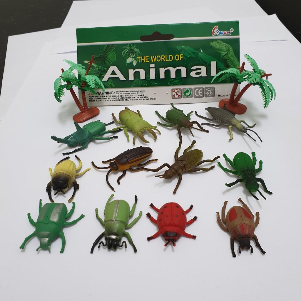 Bộ sưu tập 12 Bọ Cánh Cứng Safari - Đồ Chơi mô hình Côn Trùng Vacimall Animal World 126 cho bé 3 tuổi học hỏi, khám phá