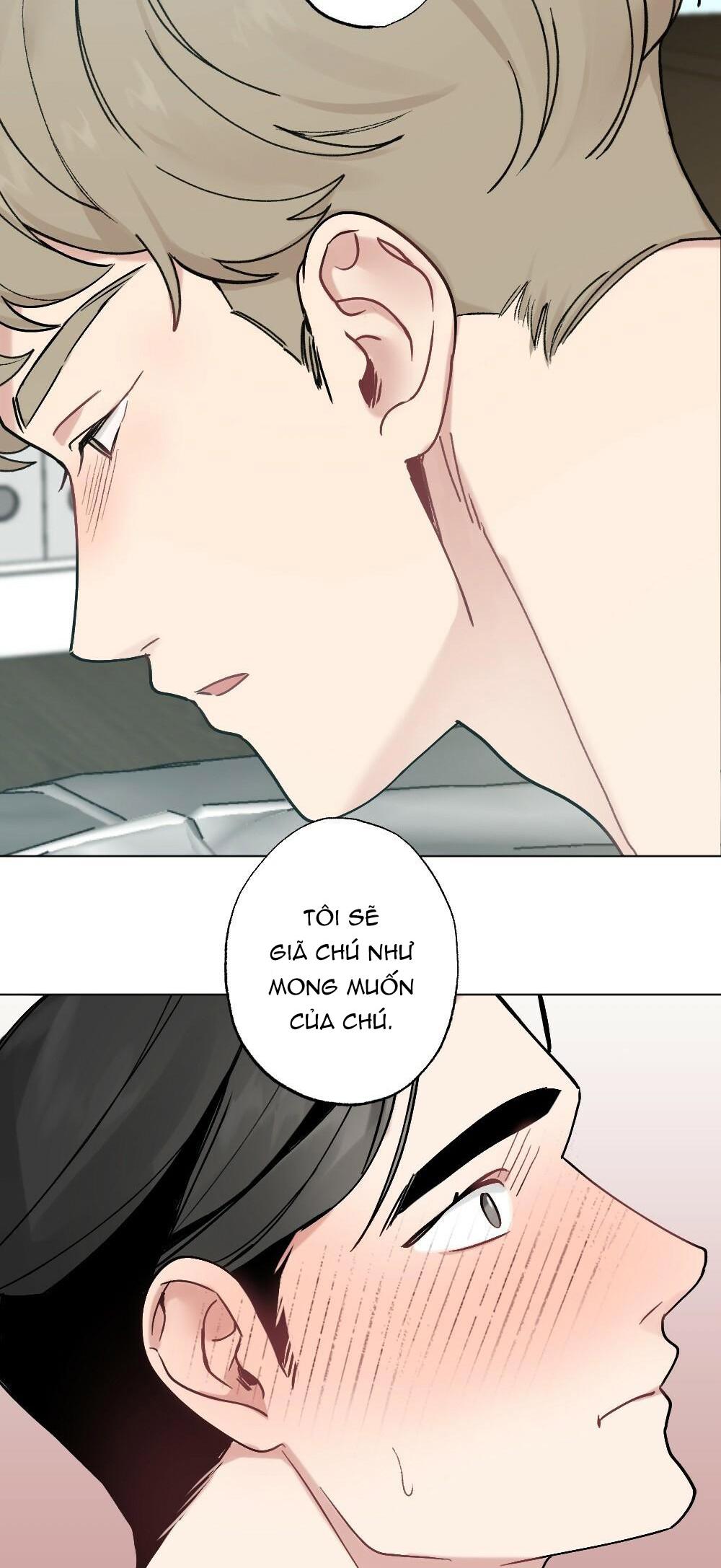 chăm sóc chapter 31 41