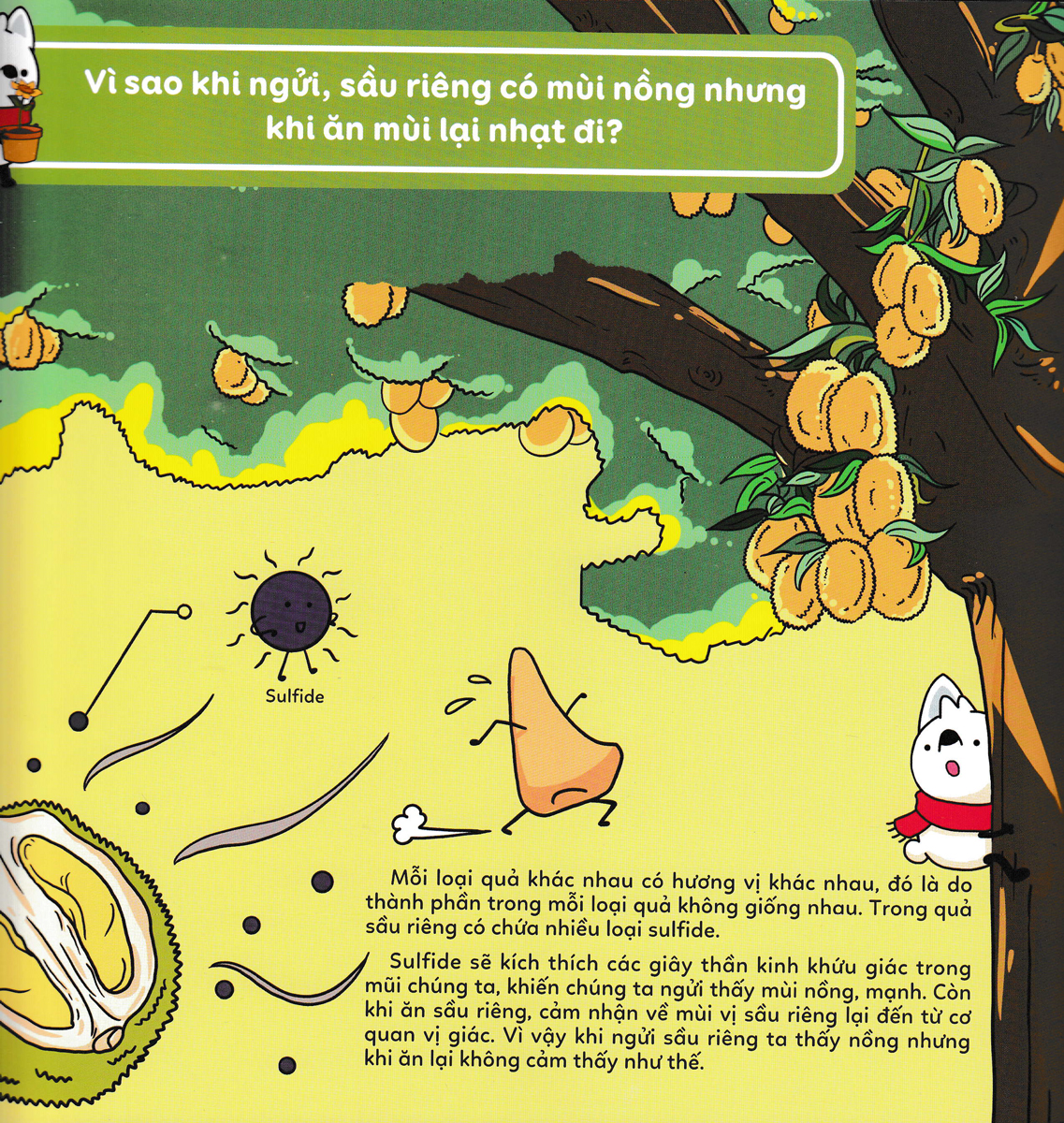 Sách Mười Vạn Câu Hỏi Vì Sao - Thế Giới Thực Vật Diệu Kì - Zhihu