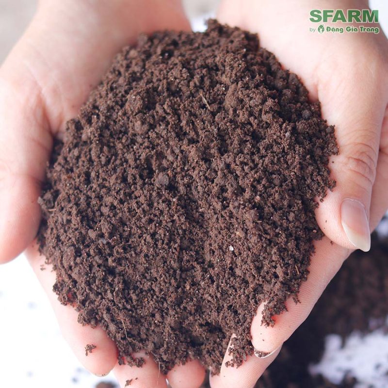 Phân trùn quế Sfarm 5kg