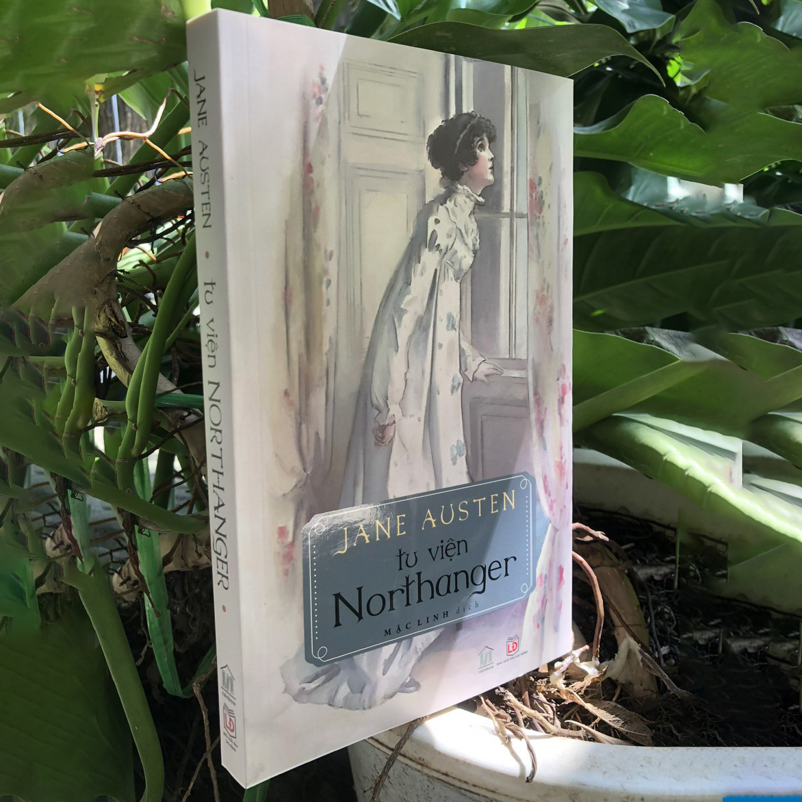 Sách - Tu viện Northanger (Northanger Abbey) - Jane Austen - Rainbow Books