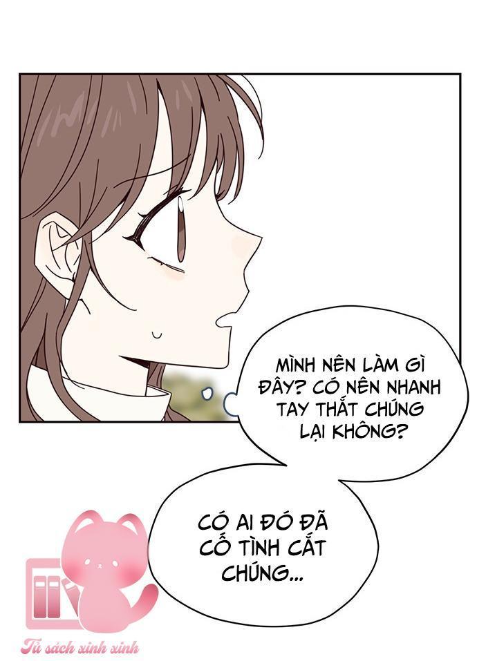 sợi chỉ tình yêu chapter 2 61