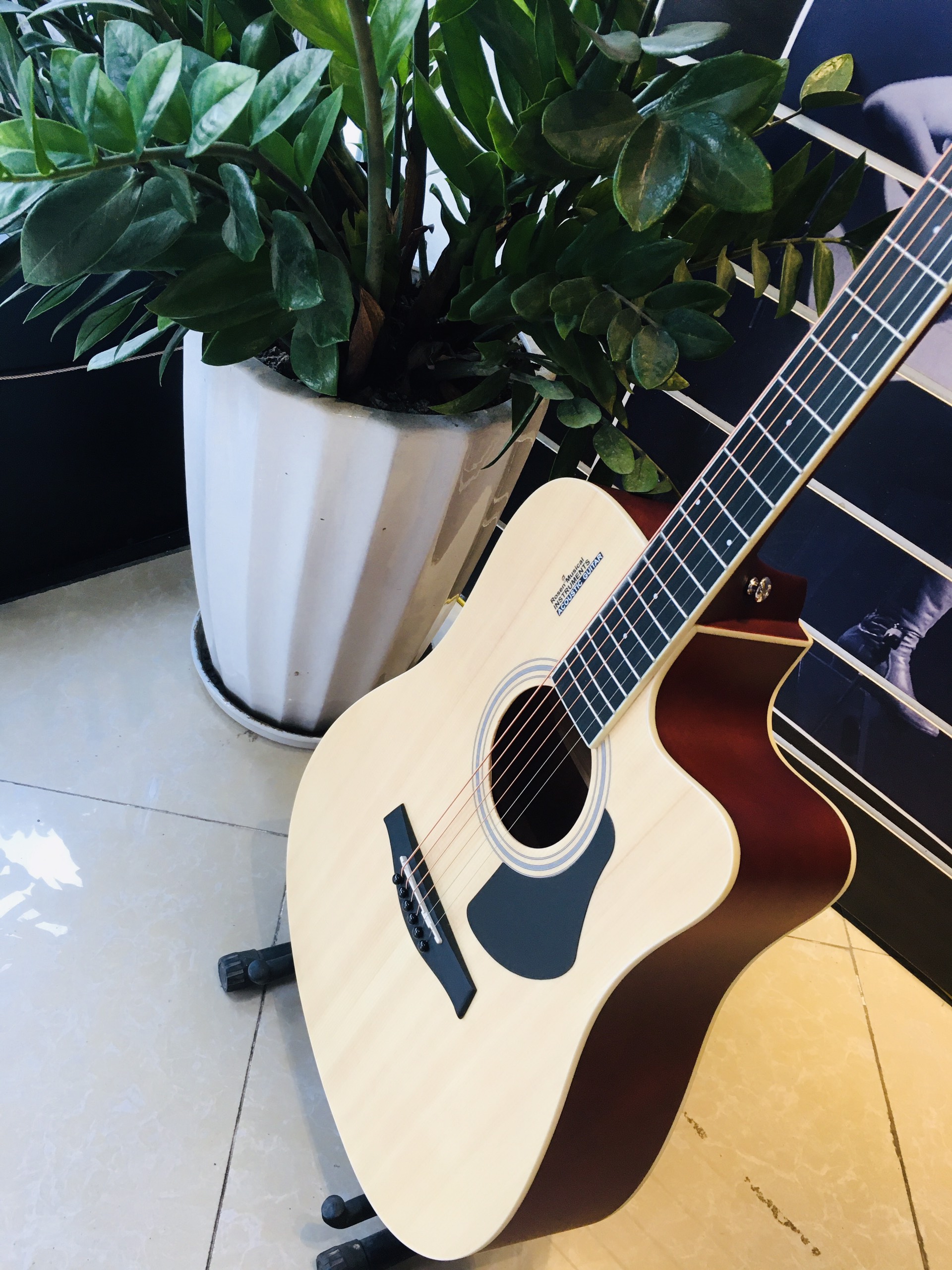 Đàn Guitar Acoustic Rosen R135 màu Vàng