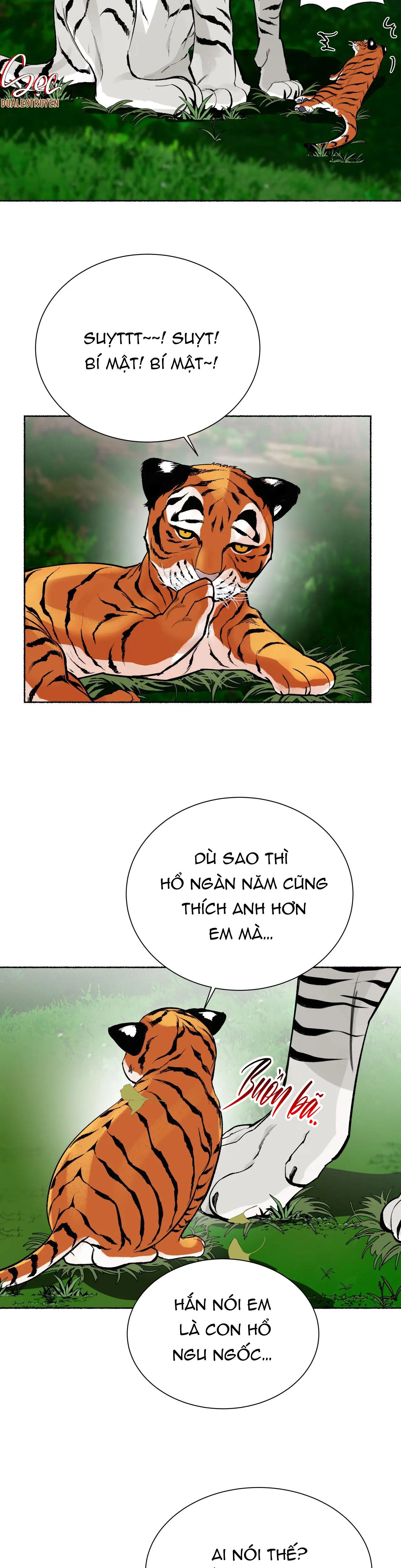 HỔ NGÀN NĂM chapter 24