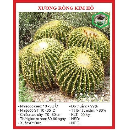 Hạt giống cây xương rồng kim hổ 20 hạt/gói