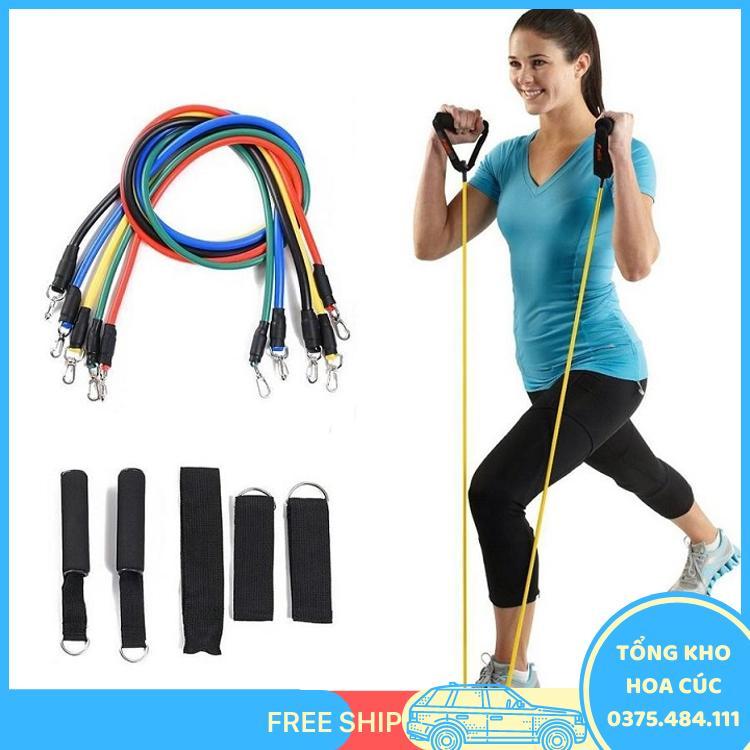 Bộ 5 Dây Kéo Ngũ Sắc Chất Lượng Tập Gym,Tập Thể Dục (Vận Chuyển Miễn Phí Toàn Quốc Có Kèm Túi) - Vận Chuyển Miễn Phí Toàn Quốc