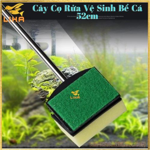 Cây Cọ Rửa Vệ Sinh Bể Cá 52cm - Chà Bể Hồ Cá Thủy Sinh