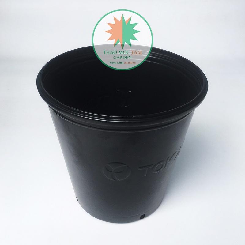 Chậu Trồng Cây 24x24cm TOKAI – Chậu to trồng cây chất lượng Nhật