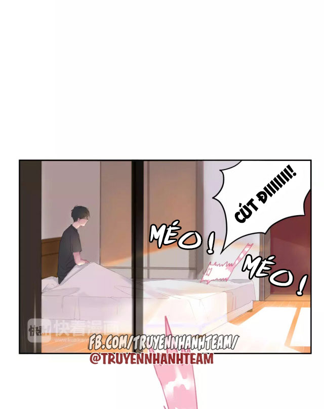 xã hội mèo chapter 1 48