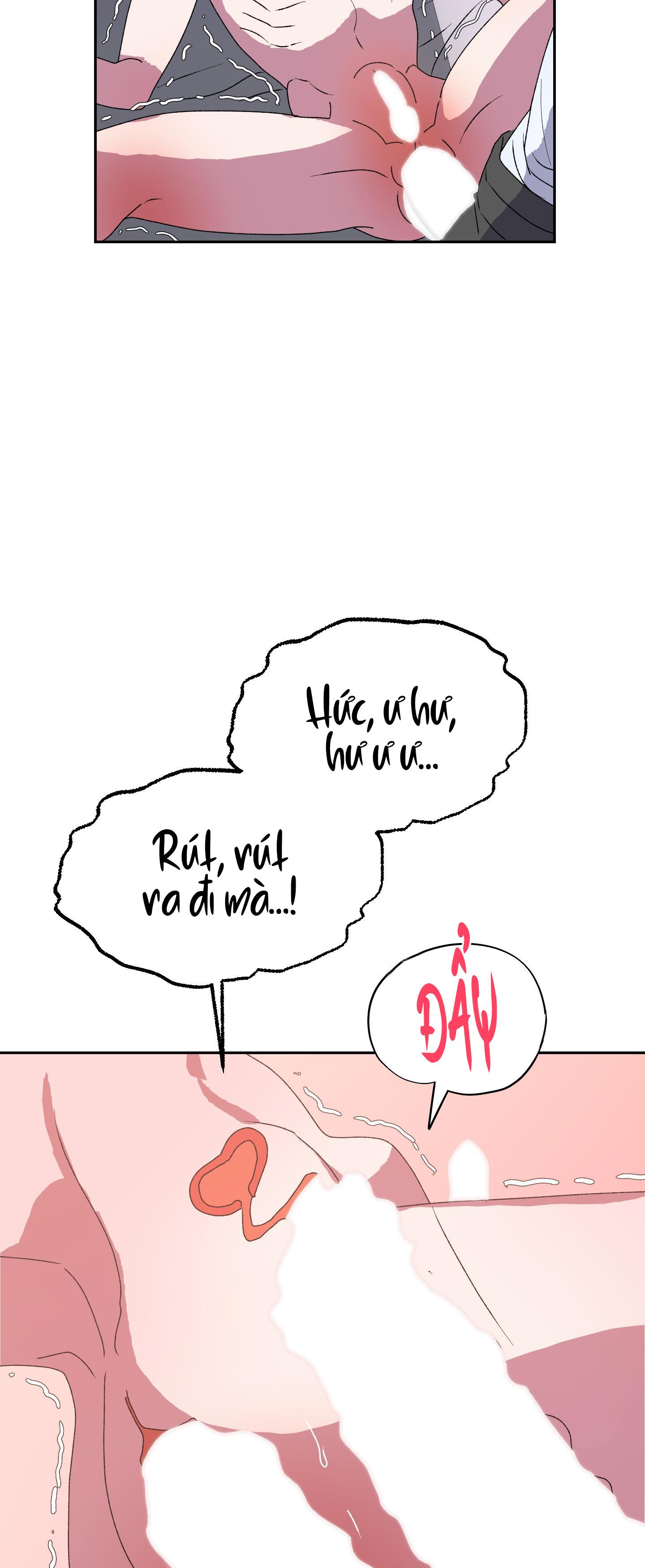 cá mập và cô dâu thỏ chapter 12 14