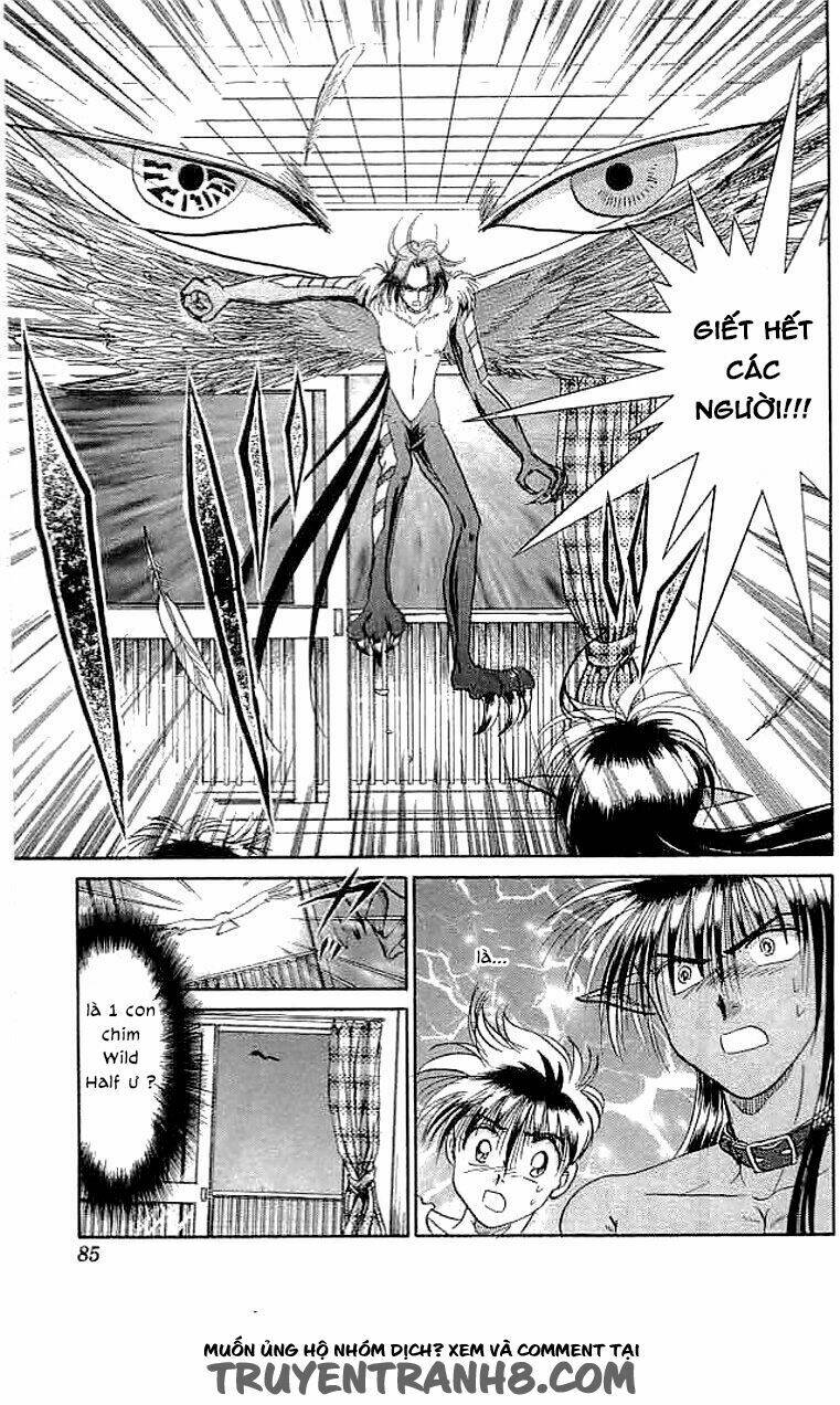 wild half chapter 20 21