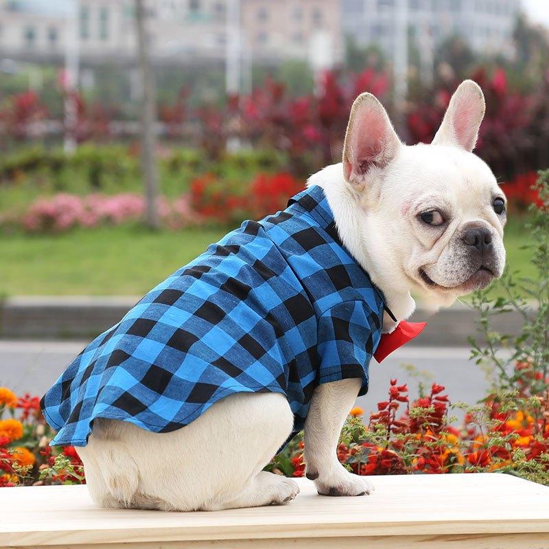 [Có Size 4XL] Áo sơ mi có nơ đi biển cho Chó Mèo , thời trang mùa hè dành cho cún cưng