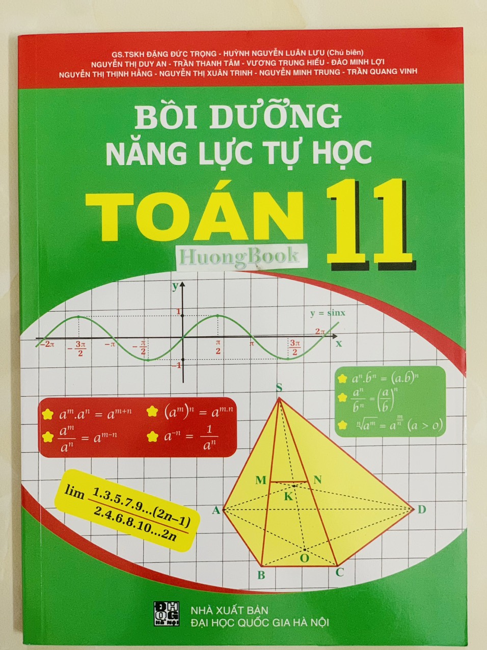 Sách - Bồi dưỡng năng lực tự học Toán 11