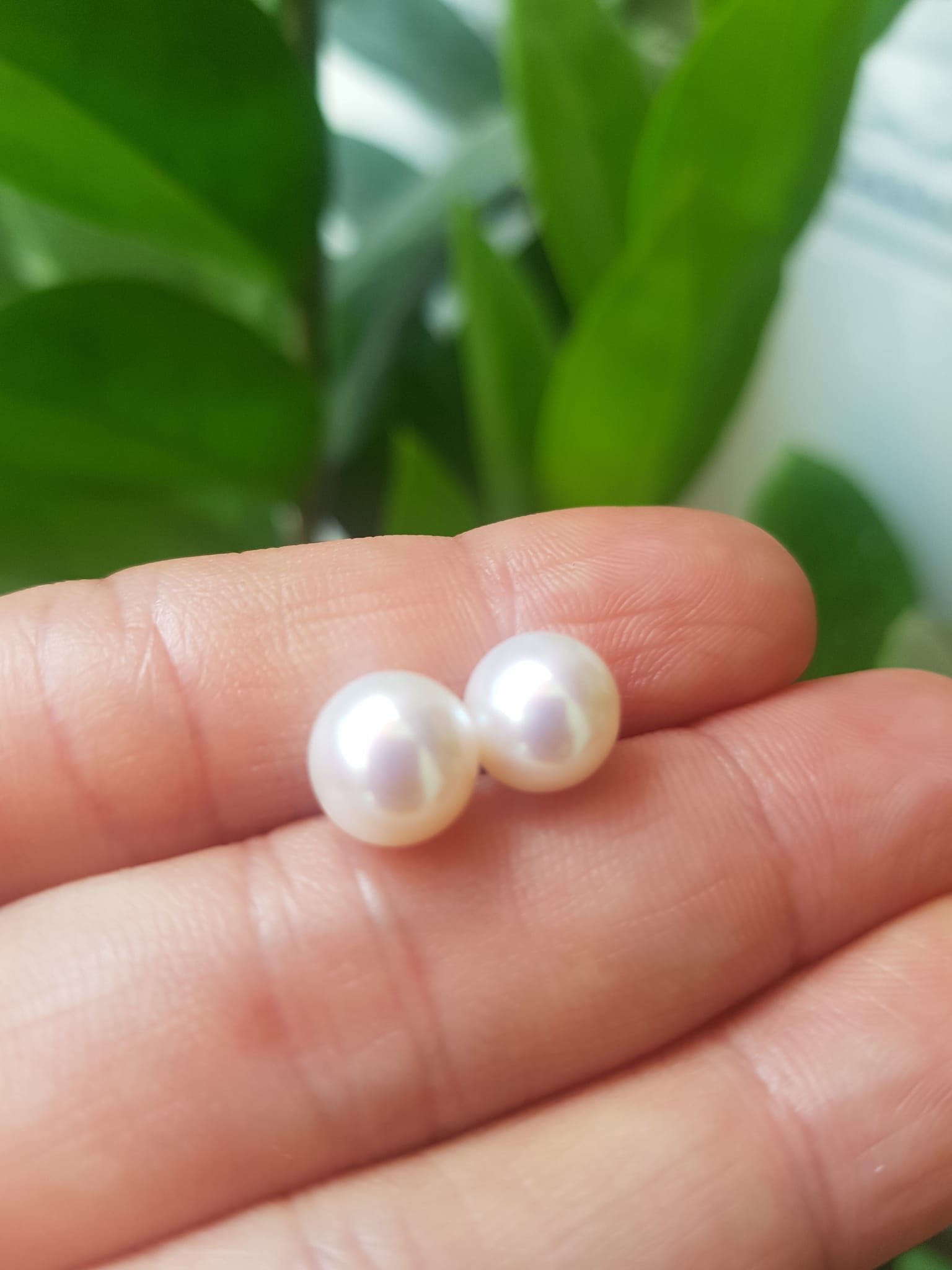 Đôi Bông Ngọc Trai Cao Cấp Bóng Đẹp  Cặp Bông tai màu Trắng Bóng size 8mm vừa đẹp  Nữ Bọc Vàng đeo lên tay vừa đẹp vừa sang ạ