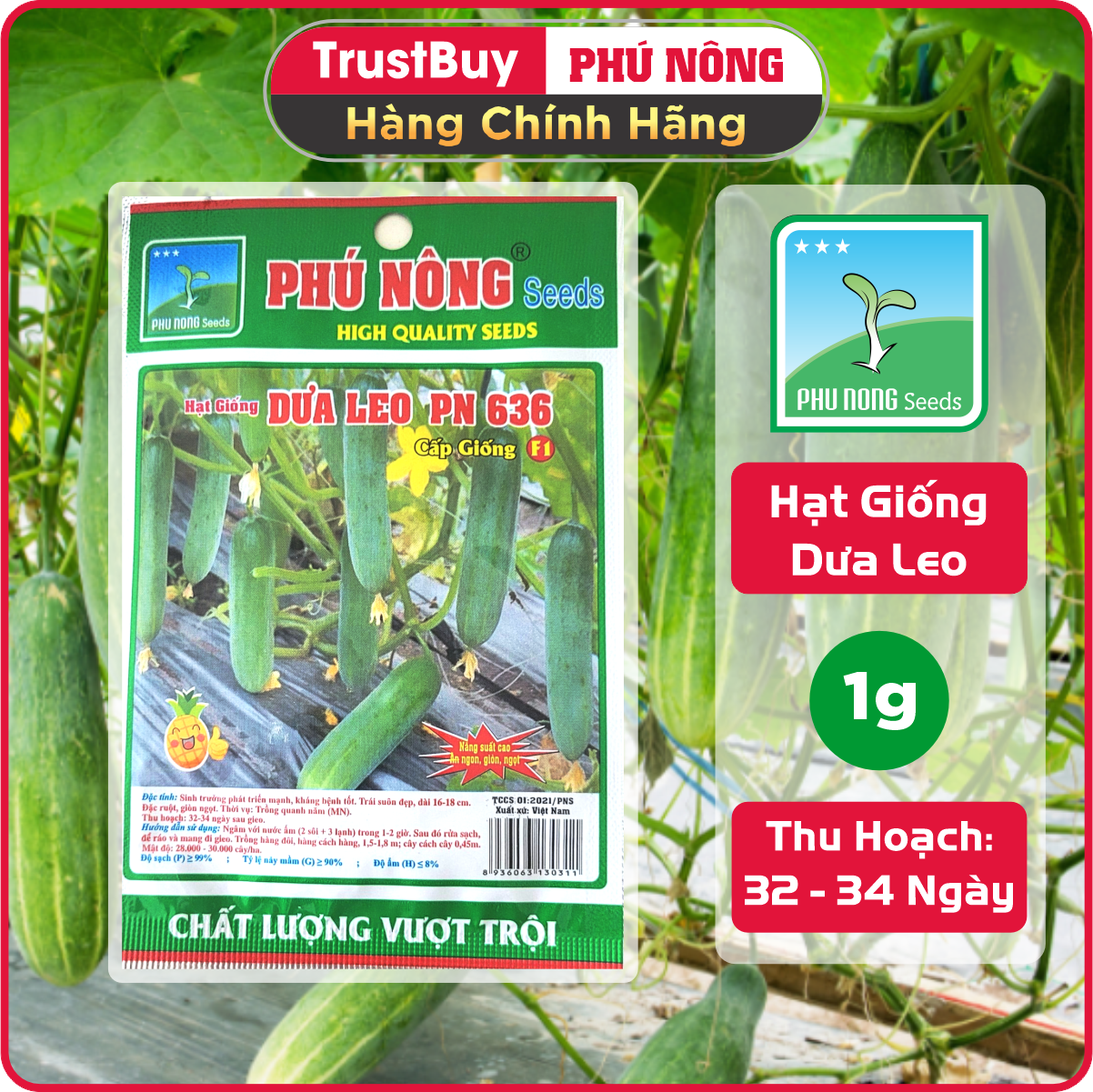 Hạt Giống Dưa Leo PN-636 Phú Nông Gói 1g