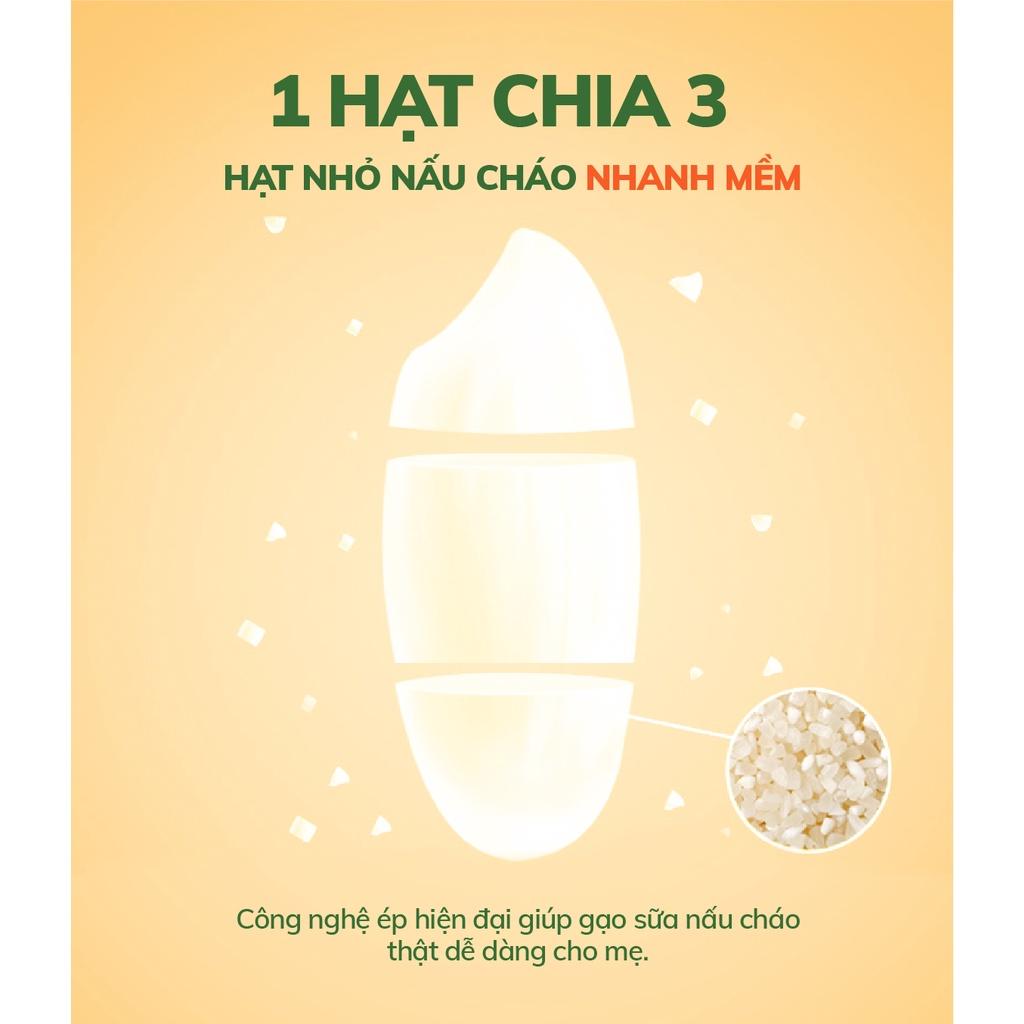 Gạo sữa hữu cơ Mămmy nấu cháo ăn dặm cho bé từ 6 tháng hũ 140gr