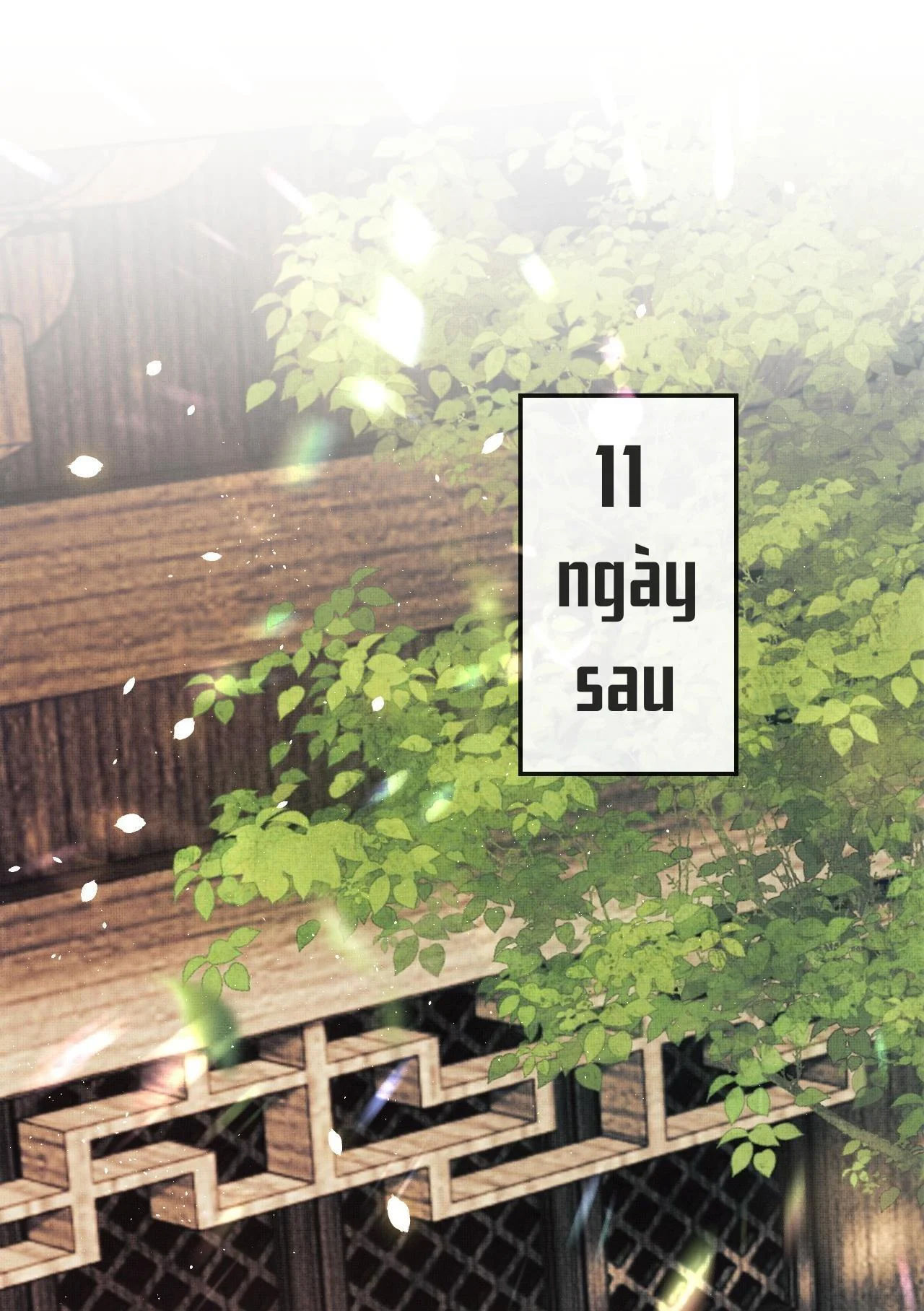 tướng quân luôn tự coi mình thành thế thân chapter 15 12