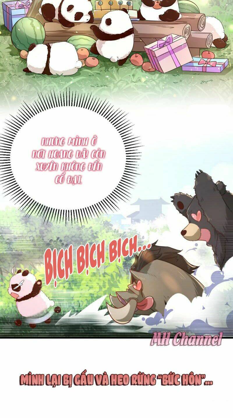 thiên thần gấu trúc muốn được ôm chapter 4 7