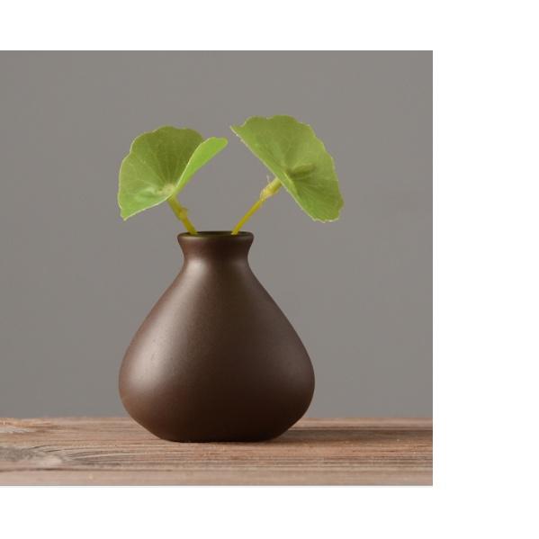 Chậu bình mini trồng cây, trang trí kệ tượng- decor không gian tiểu cảnh