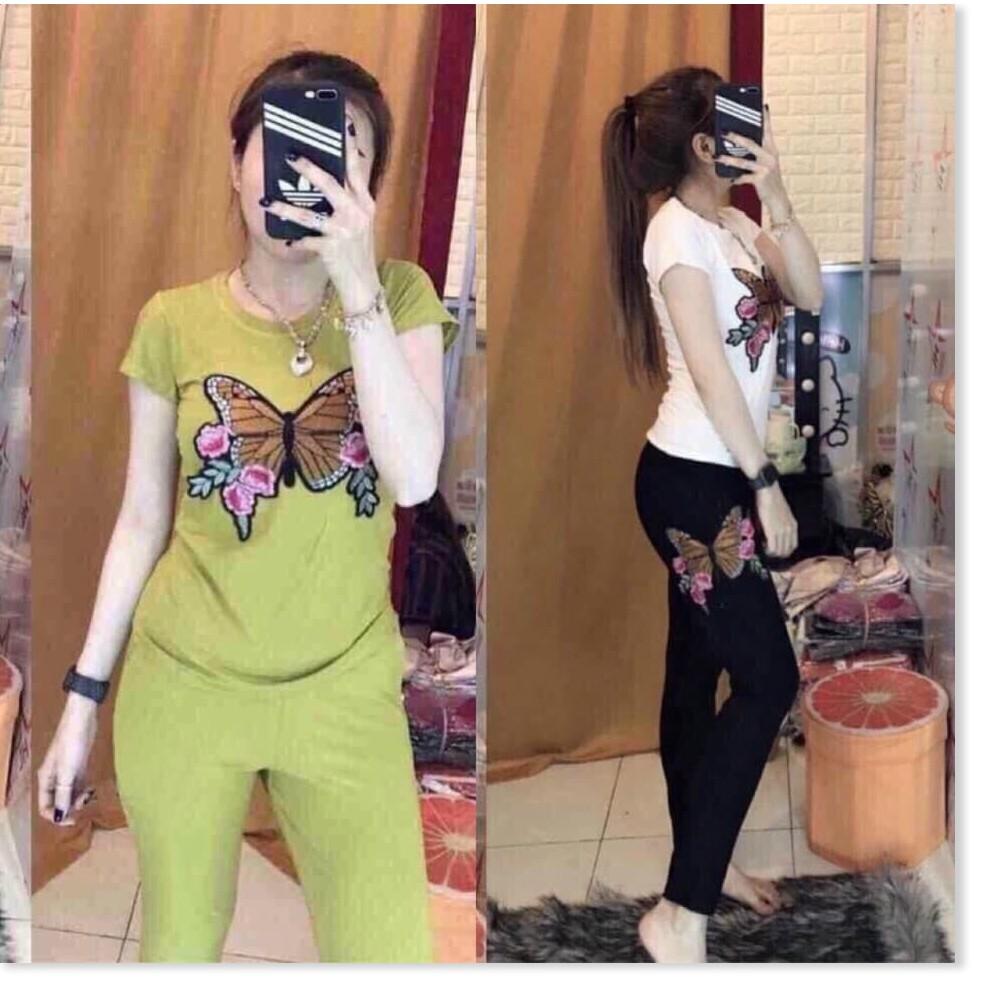 SET ĐỒ BỘ NỮ THUN